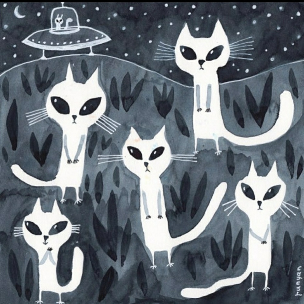 Meet your Posher, Hazel